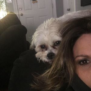 Meet your Posher, Kristen